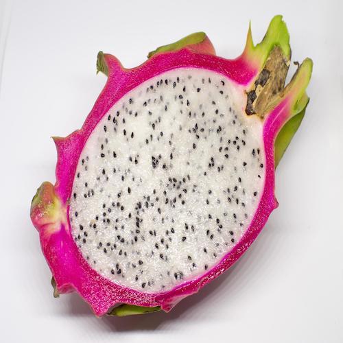 Pitahaya Bio Media