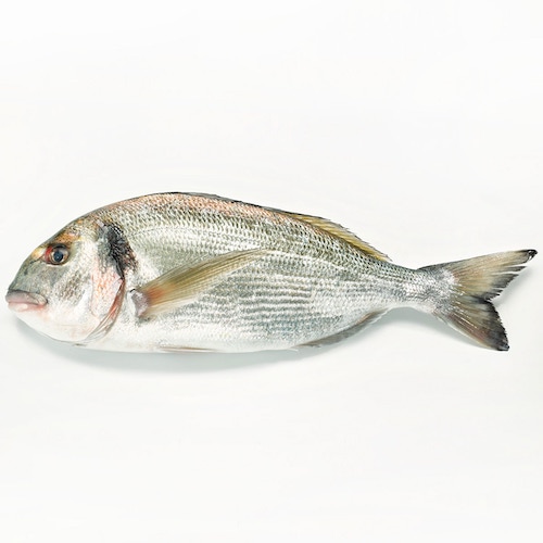 Dorada Eviscerada Bio - CONGELADO