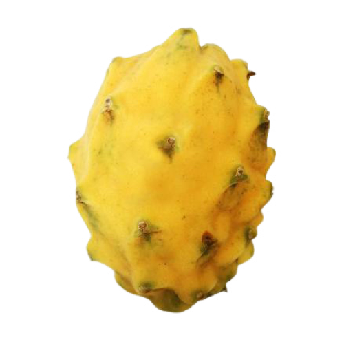 Pitahaya Amarilla