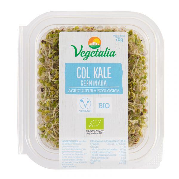 Germinado de Col Kale Fresco Bio