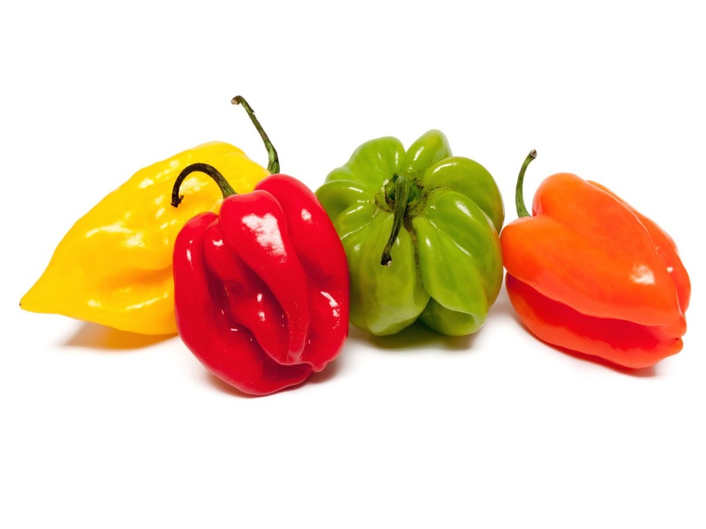 Pimiento Habanero (Antillano)