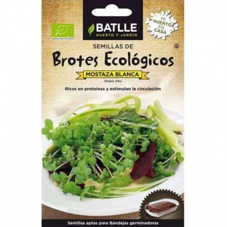 Semillas Brotes Mostaza Blanca Bio
