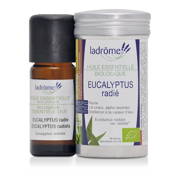 Aceite Esencial Eucalipto Radiata Bio