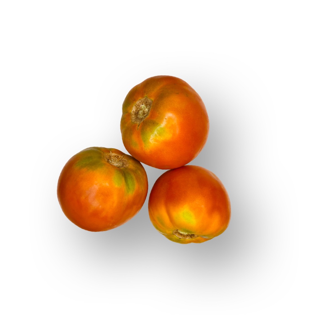 Tomate Zaragoza Huerto