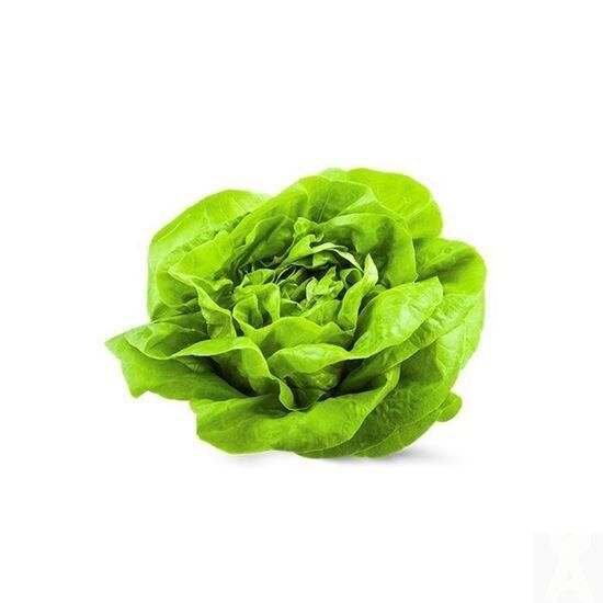 Cogollos Bio
