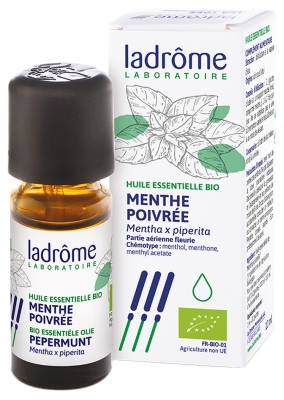 Aceite Esencial Menta Bio