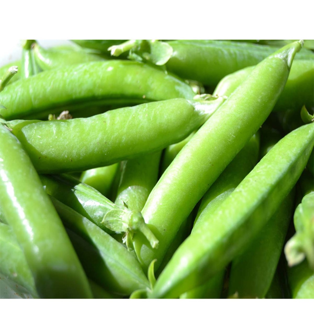 Guisantes Bio