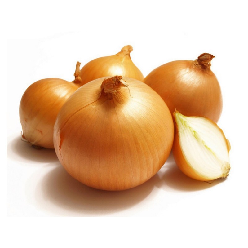 Cebolla Holandesa