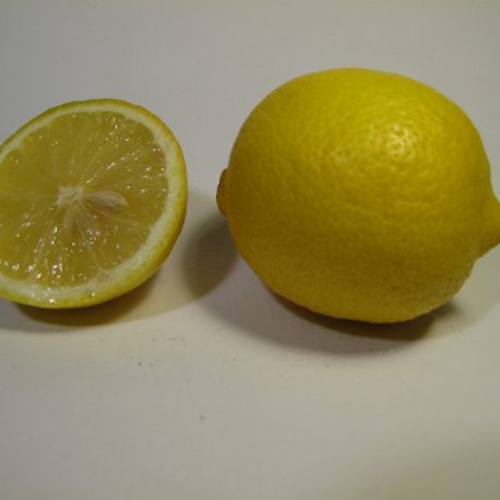 Limón de Valencia Bio