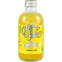 Kombucha de Jengibre y Limón Bio (Grande)