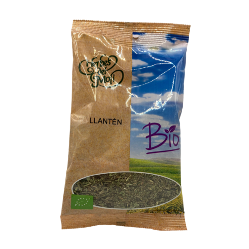 Llanten en hojas Bio