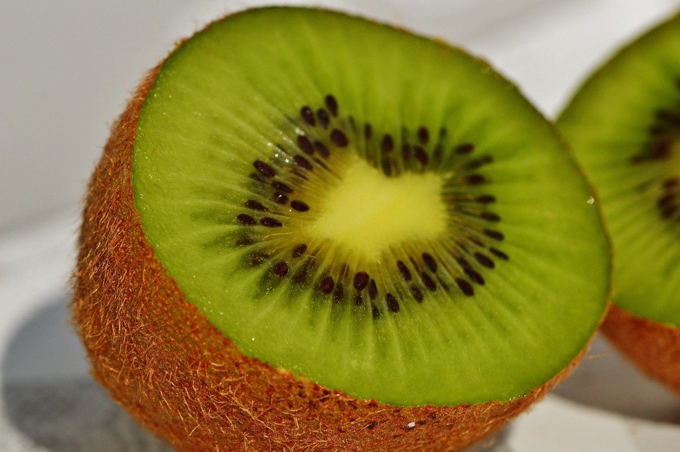 Kiwi Asturiano