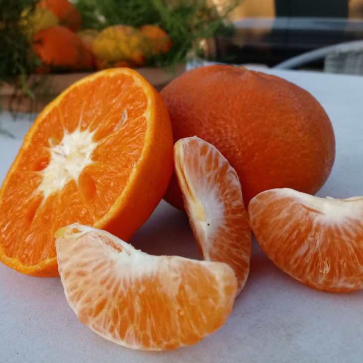 Mandarina Valencia Bio