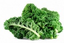 Kale huerto Zaragoza
