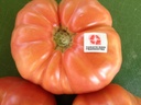 TOMATE ROSA B