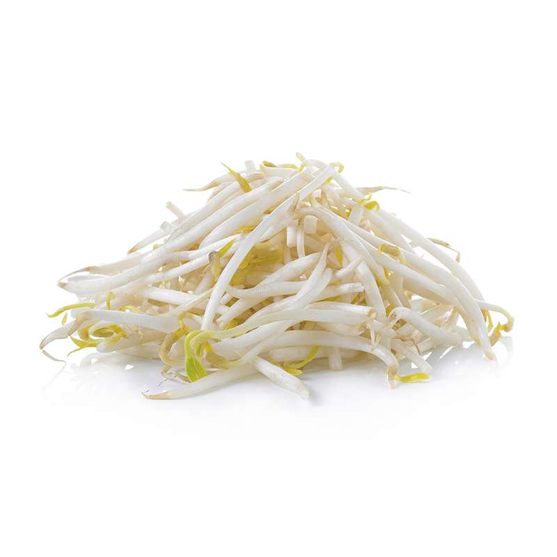 Germinado de Soja