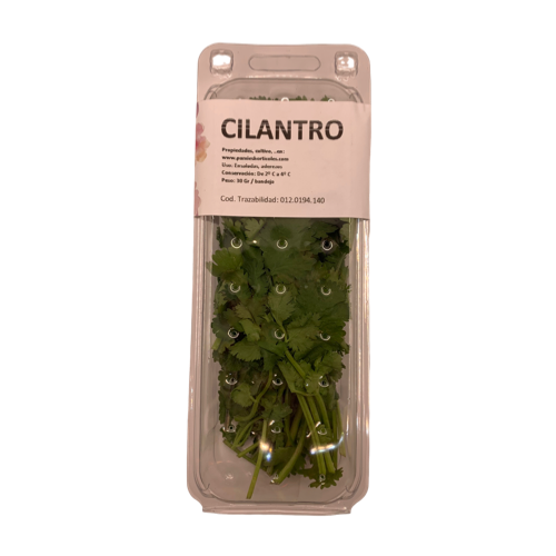 Cilantro fresco bandeja