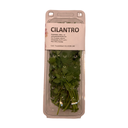 Cilantro fresco bandeja