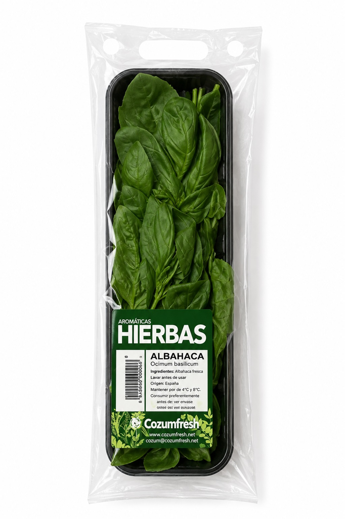 Albahaca fresca bandeja