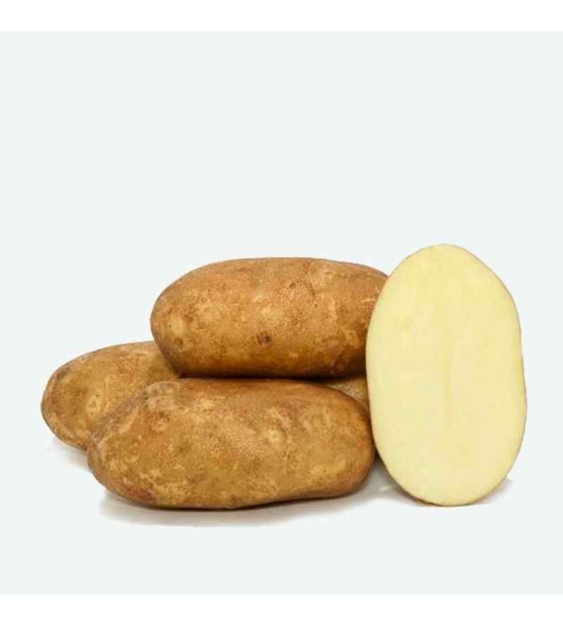 Patata Agria