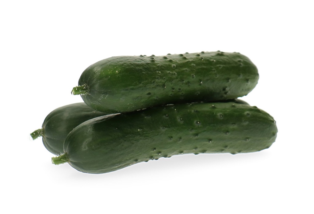 Pepino extra