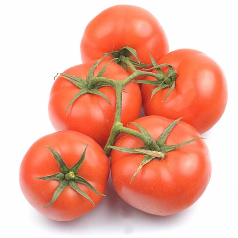 Tomate de Rama extra
