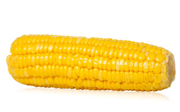 Mazorca Maíz Dulce cocida
