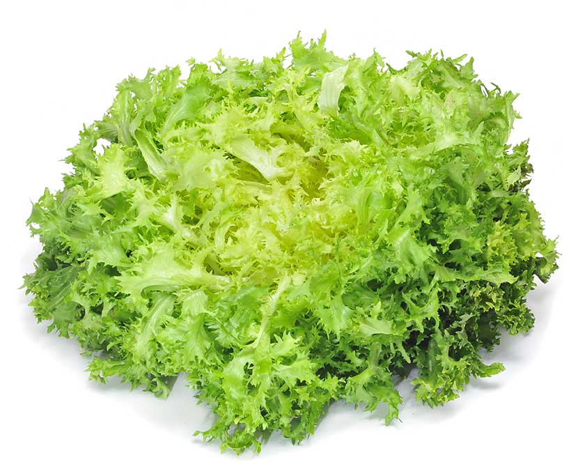 Escarola