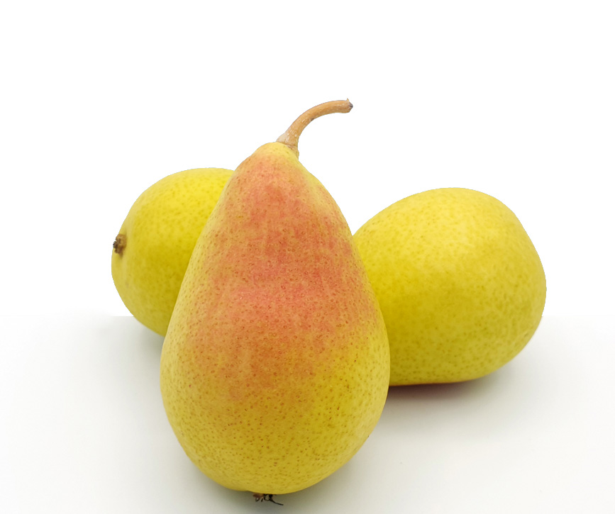 Pera Ercolini