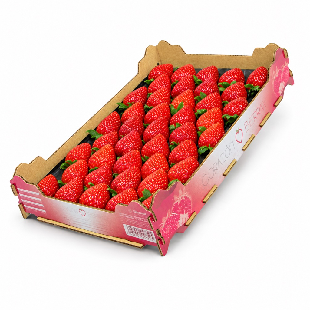 Fresas extra - en Alveolo caja 1 Kg 