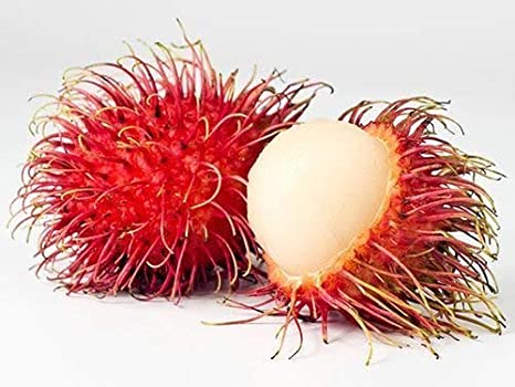 Rambután