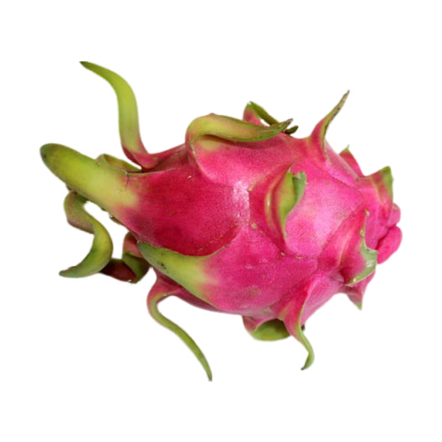Pitahaya Rosa Carne Blanca