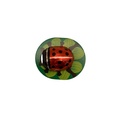 Mariquita de Chocolate Bio