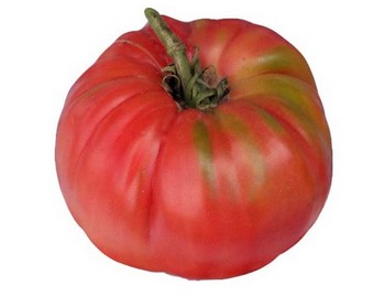 Tomate de Ensalada