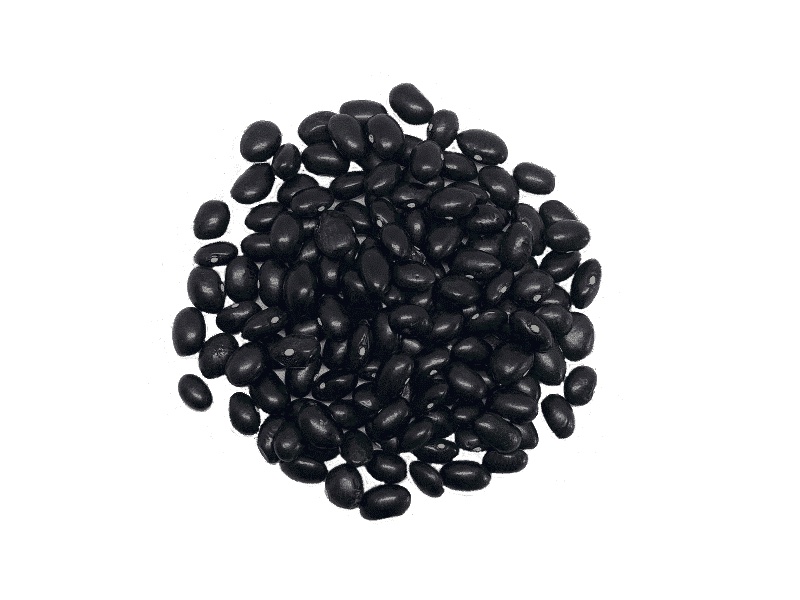 Alubia Tolosana Negra (Tolosa)