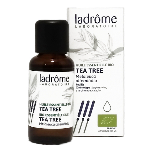 Aceite Esencial de Árbol del Té
