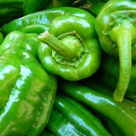 [2322] Pimiento Verde Bio
