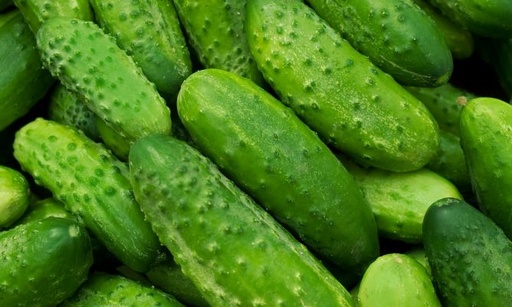 [2277] Pepino de Huerto Bio