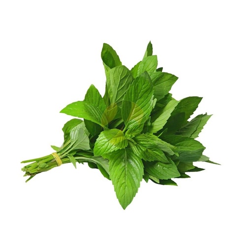 [2214] Menta Manojo Bio