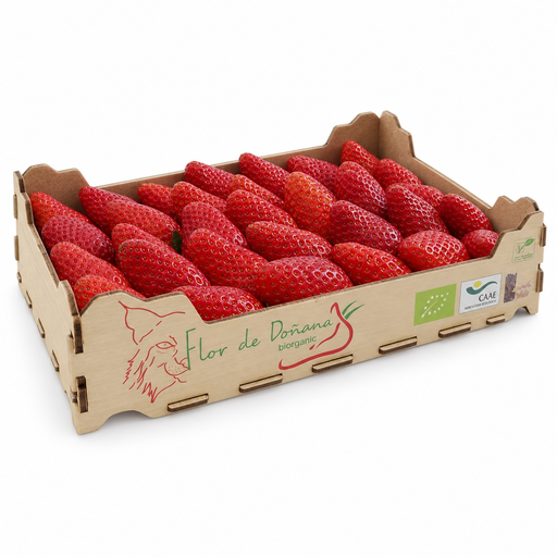 [2124] Fresas Bio - Caja 1kg aprox.
