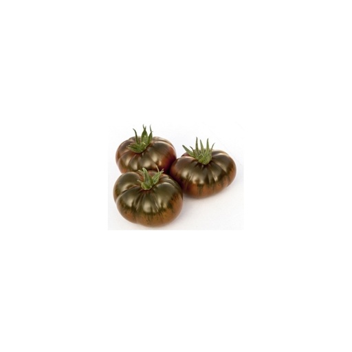 [2029] Tomate Iberiko XXL