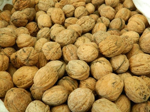 [1765] Nueces de montaña con cáscara/ Nueces de Cáscara Nacional