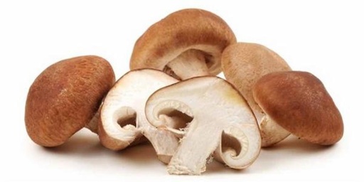 [1115] Shiitake bandeja