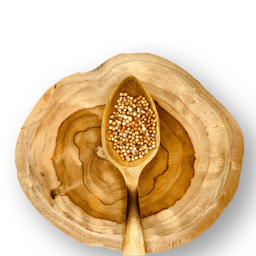[188] Cilantro Premium en grano