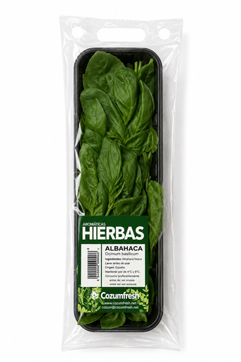[169] Albahaca fresca bandeja