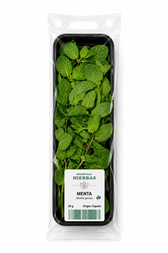[168] Menta fresca bandeja