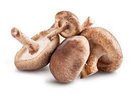 [163] Shiitake extra
