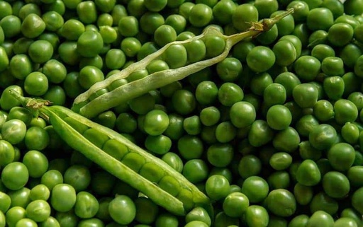 [132] Guisantes extra