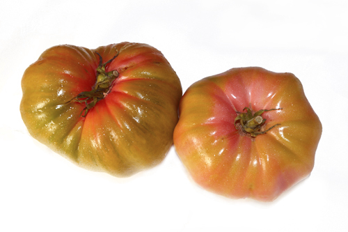 [105] Tomate Rosa extra