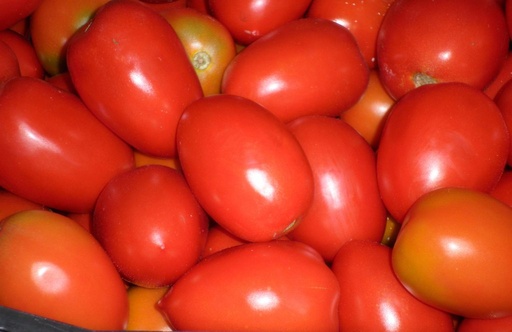 [103] Tomate de Pera extra